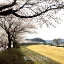 방방곳곳