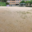 서울우면초등학교 이미지