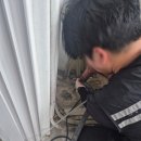 부송우미 이미지