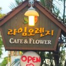 라임오렌지카페앤플라워