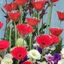 마태복음 안심하라 나니 두려워말라 Kake courage 김성수장로 마태복음14장 ​ 27절 예수께서 즉시 일으시되 안심하라 나니 두려워하지말라 Take courage(안심 이미지