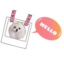 365동물병원 위례점 이미지