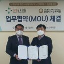 안성성모병원 이미지