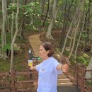 웰리스팜 이미지