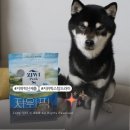 픽독 | 지위픽 신제품 스팀드라이독 프리미엄 강아지사료 후기