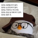 주스토리 이미지