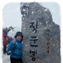 옛날의금잔디
