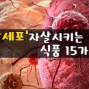 ‘암세포’ 자살 시키는 식품 15가지 이미지