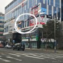 딸기미용실 | 대구율하미용실 그라디언트 손상모 클리닉 후기