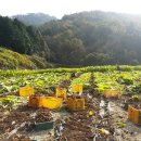 작답농장 이미지