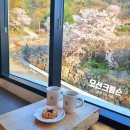 창원시립테니스장 코트장 | 창원 성산구 비음산 카페 벚꽃 개나리 볼 수 있는 이색카페 오션크림슨