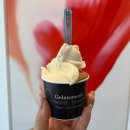 사평대로55길 101 | 드디어 핸드폰 바꿨당(아이폰 17, 새폰으로 찍은 요즘 먹은 해장국, 커피덴티티 버터떡, 젤라또먼트...