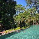 마라사랑 | [우붓여행] 마라사파리리버롯지 후기2_발리수영장