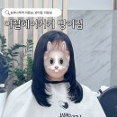 송파나루역 미용실 매직 레이어드컷 잘하는 이철헤어커커 방이점 후기