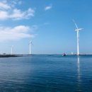 제주또올레 이미지