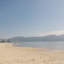 비치버거 이미지