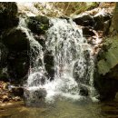 화촌면 대진교강변(군부대 뒤) | 무궁화의 고장 강원도 홍천 / 대한민국에서 가장 넓은 땅