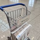 [카자흐스탄]알마티 4박 6일 전시회 출장 겸 맛집 후기