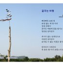 김지연 이미지