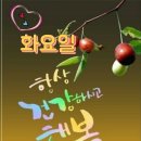 자연-탄생 이미지