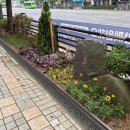 시흥대로 뉴시스