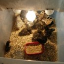 화랑골민박 이미지