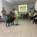 하서초등학교 이미지