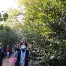 대정목장 이미지