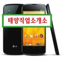 태양직업소개소 이미지
