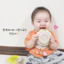 시판이유식 추천 중기후기때 팜투베이비 시켜 먹은 이유