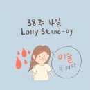 자연 | 임신후기 38주차 5일 출산후기 자연분만후기 급속분만후기