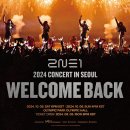 2ne1 콘서트 대리티켓팅 이미지