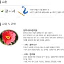 통영여자고등학교 이미지