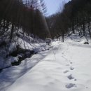 언니네펜션 이미지