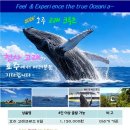 투어티티엘 - 중구 남대문로7길 11-5 | 투어티티엘