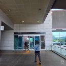 탑어린이공원 | 5세아이와 국립중앙박물관 푸드코트,상설전시관, 용산가족공원 방문후기 (어린이박물관은 예약필수!)