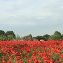 진사농장 이미지