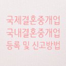 강남국제행정사 이미지