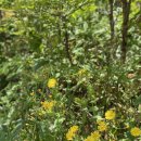 더리터 영천한신점 이미지