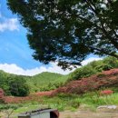 동방농장 이미지