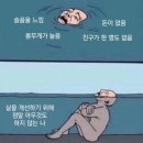 스크린도둑 | 도둑맞은 집중력 도둑맞은 후기
