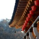 청계사 경내 | 의왕 절 가볼만한곳 여행코스 | 청계산 청계사 | 경기도 사찰