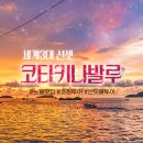 (주)신비투어
