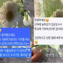 그꽃카페 이미지