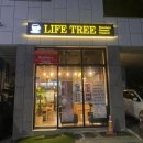 라이프트리 Life Tree