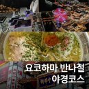 반달약국 | 도쿄 근교 요코하마 반나절 여행 야경 코스