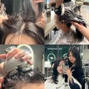 종로-신영-종로-영-278 | 대학로 혜화 미용실 준오헤어 대학로혜화역점 두피 각질 스케일링 마사지 관리 후기