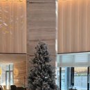 본점장터순대국 이미지