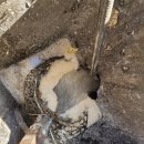 진영제조물류 이미지