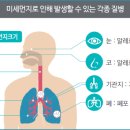 한반도ECO
